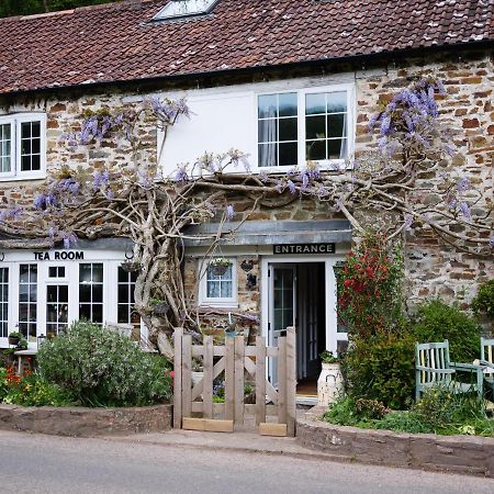 The Bark House Bed and Breakfast Oakford Buitenkant foto