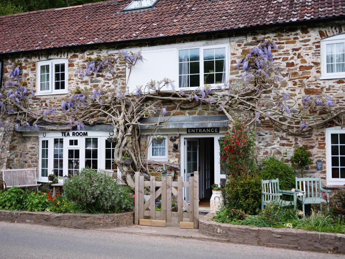 The Bark House Bed and Breakfast Oakford Buitenkant foto